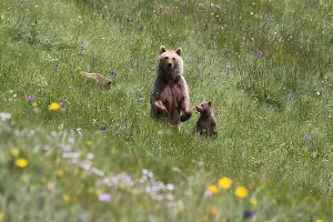  &copy;&nbsp;Фото Юрия Дороша