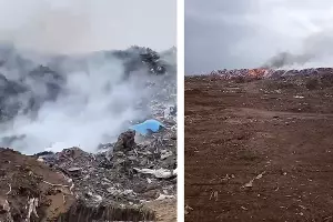  &copy;&nbsp;Коллаж из скриншотов фото из телеграм-канала &laquo;Администрация Усть-Лабинского района&raquo;