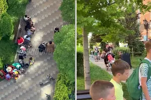  &copy;&nbsp;Скриншот видео из t.me/readovkanews