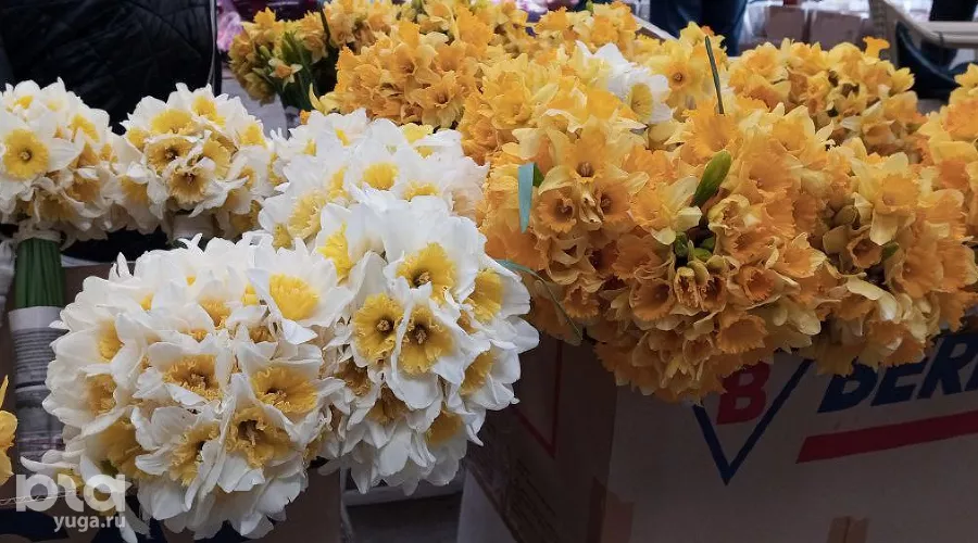  &copy;&nbsp;фото Андрея Малёваного