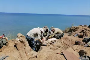 Раскопки на Таманском полуострове &copy;&nbsp;Скриншот фото из телеграм-канала ЮНЦ РАН