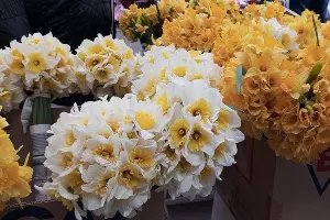  &copy;&nbsp;фото Андрея Малёваного