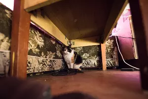  &copy;&nbsp;Елена Синеок, Юга.ру