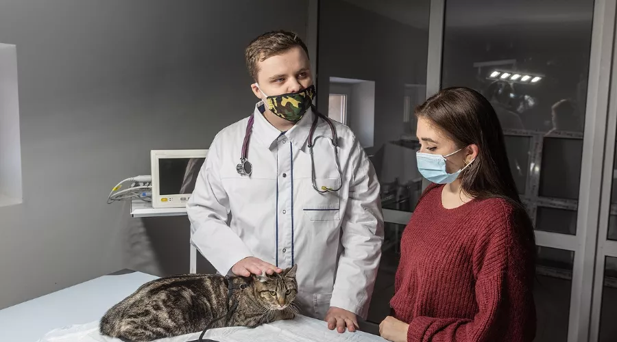  &copy;&nbsp;Фото пресс-службы ДГТУ