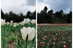  &copy;&nbsp;Скриншот из телеграм-канала &laquo;Краснодар&raquo; — новостной канал&raquo; https://t.me/krasnodar_vest/40576