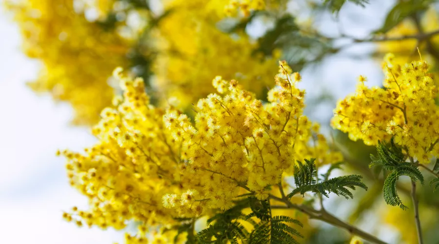  &copy;&nbsp;Фото пользователя bearfotos с сайта freepik.com