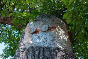  &copy;&nbsp;Фото Дмитрия Пославского, Юга.ру