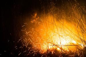  © Фото Каси Кульковой