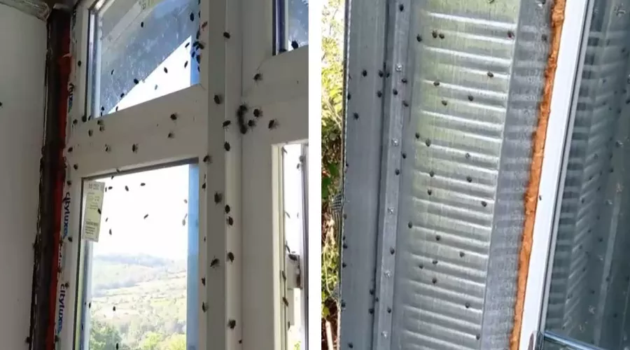  &copy;&nbsp;Коллаж из скриншотов видео из телеграм-канала &laquo;Типичный Сочи&raquo;