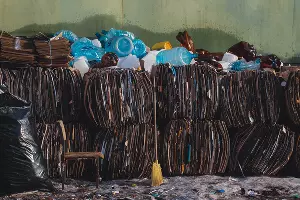 Раздельный сбор картона и пластика &copy;&nbsp;Фото Игната Кушнарева, Unsplash.com