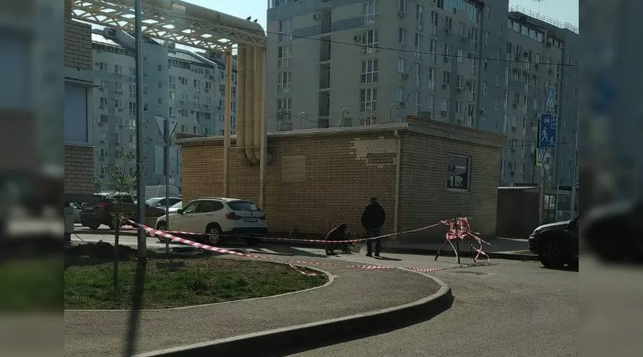  &copy;&nbsp;Фото предоставлено порталу Юга.ру жителями ЖК &laquo;Цветы&raquo; в Краснодаре