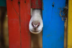  &copy;&nbsp;Фото Елены Синеок, Юга.ру