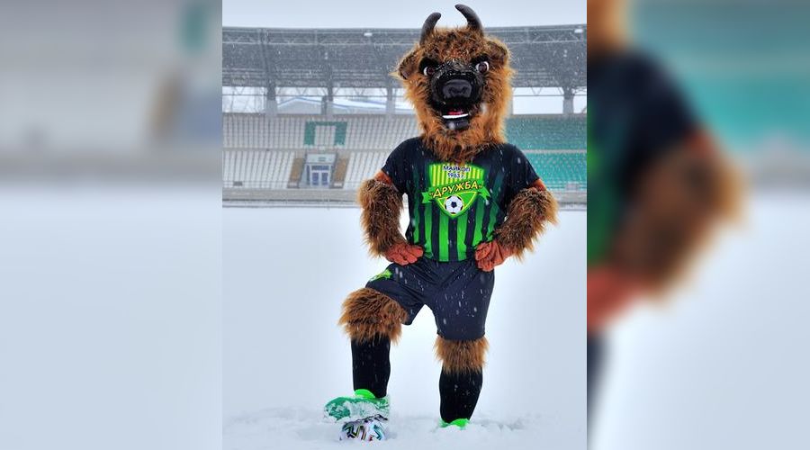  © Фото пресс-службы ФК «Дружба»