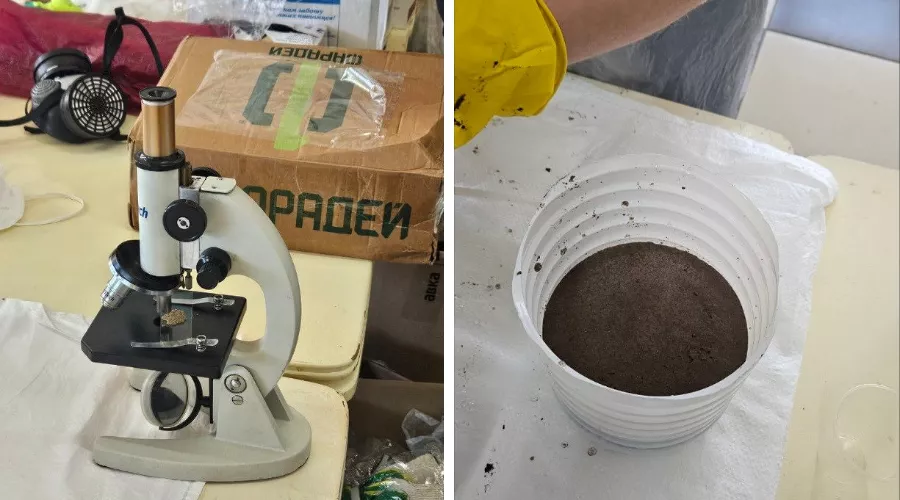  &copy;&nbsp;Коллаж из скриншотов фото из телеграм-канала &laquo;Евгений Витишко&raquo;