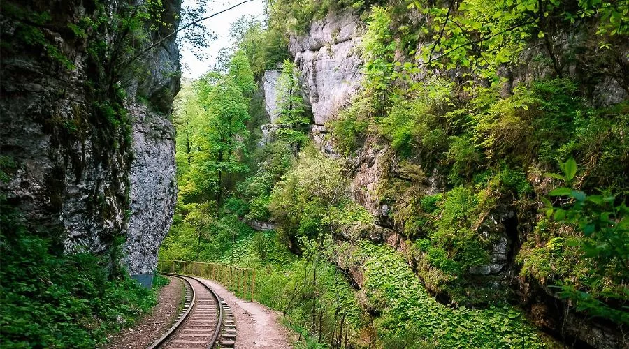  &copy;&nbsp;Фото с сайта Памятник природы &laquo;Гуамское ущелье&raquo;, guamka-kuban.ru/