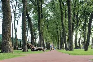  &copy;&nbsp;Фото Ангелины Трофименко, Юга.ру