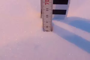 Определение прироста снежного покрова по рейке &copy;&nbsp;Фото из личного архива Адриана Коротеева