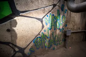 Подпись художника &copy;&nbsp;Фото Елены Синеок, Юга.ру