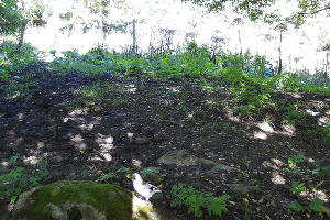  © Фото пресс-службы Кавказского заповедника