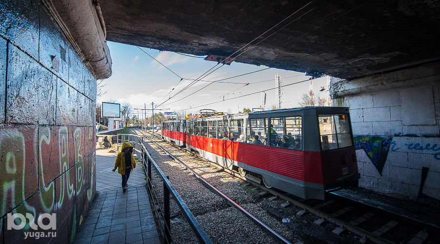  © Фото Елены Синеок, Юга.ру