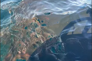  &copy;&nbsp;Скриншот из телеграм-канала Юрия Озаровского https://t.me/MoreOz/105083