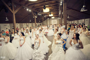 "Свадебный переполох" в Абрау-Дюрсо © Татьяна Шахунова, ЮГА.ру