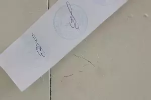  &copy;&nbsp;Фото Татьяны Третьяк