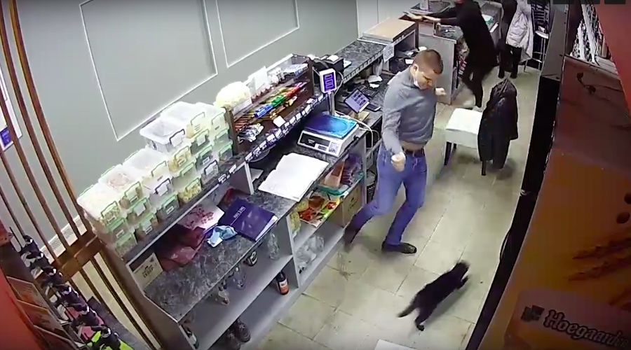  © Скриншот из видео со страницы vk.com/rostovnadonu