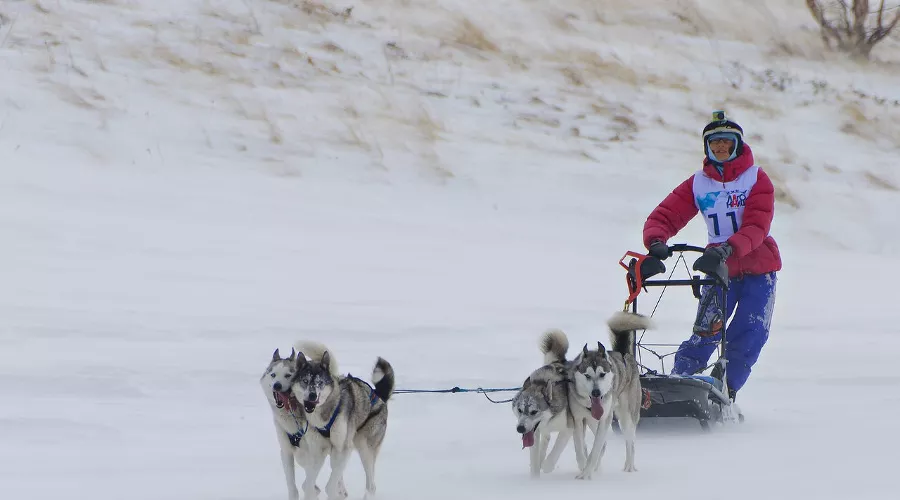  &copy;&nbsp;Фото из группы &laquo;Лагонаки — 2017&raquo; &laquo;ВКонтакте&raquo; , vk.com/lagonaky
