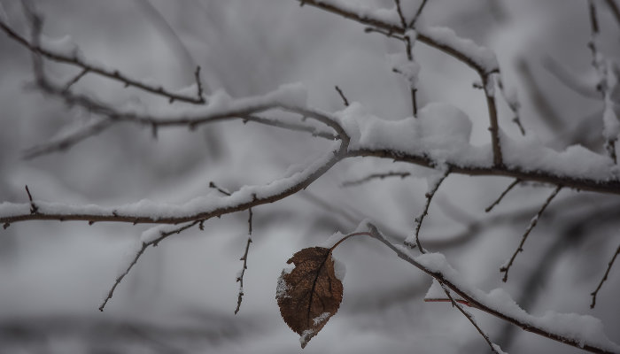 В Краснодарском крае первая рабочая неделя февраля начнется с морозов, осадков и гололеда