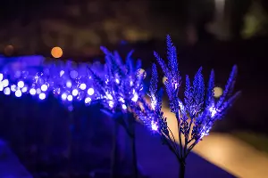 Парк «Краснодар»  с новогодней подсветкой &copy;&nbsp;Фото Елены Синеок, Юга.ру