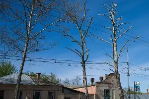  &copy;&nbsp;Фото Евгения Мельченко, Юга.ру