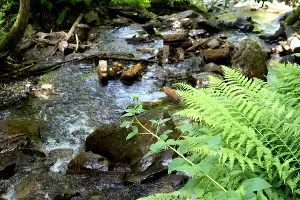  &copy;&nbsp;Фото Марины Солошко, Юга.ру