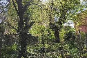 Дубинское кладбище &copy;&nbsp;Фото Иолины Грибковой, Юга.ру