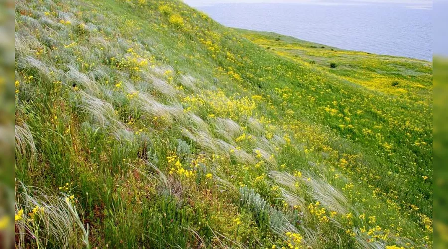  &copy;&nbsp;Фото пресс-службы администрации Анапы