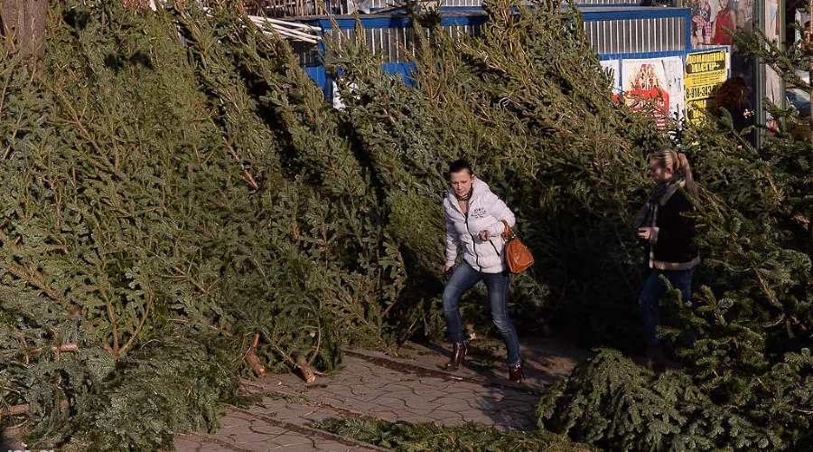  &copy;&nbsp;Алёна Живцова, ЮГА.ру