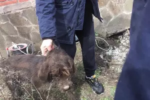  &copy;&nbsp;Фото со страницы instagram.com/alekseioderov