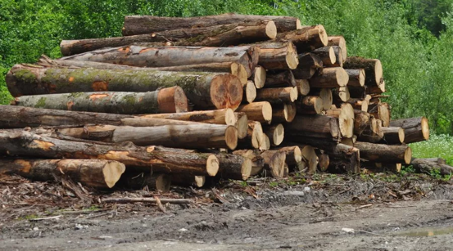  &copy;&nbsp;Фото пресс-службы &laquo;Эковахты по Северному Кавказу&raquo;