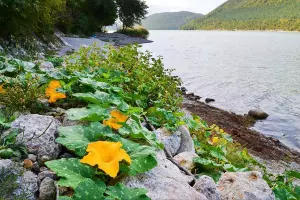  &copy;&nbsp;Скриншот фото из телеграм-канала &laquo;Абрау-Дюрсо в фотографии&raquo;