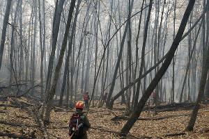  © Фото Алексея Щербины для Юга.ру