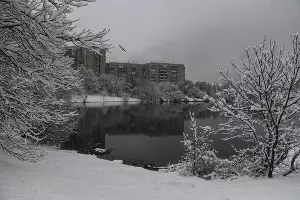 Снег в Краснодаре &copy;&nbsp;Фото Елены Синеок, Юга.ру