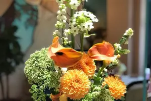  &copy;&nbsp;Фото предоставлено пресс-службой музея имени Ф.А. Коваленко