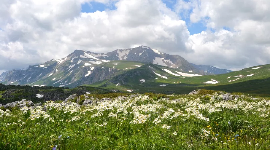  &copy;&nbsp;Фото с сайта westerncaucasus.ru