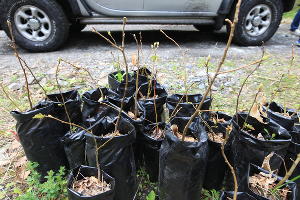  © Фото пресс-службы Кавказского заповедника