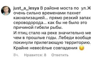  © Комментарии в инстаграме газеты «РВС», instagram.com/gazetarvs