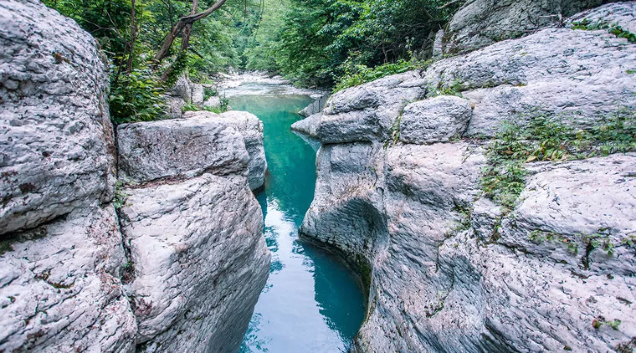  &copy;&nbsp;Фото пресс-службы Сочинского национального парка
