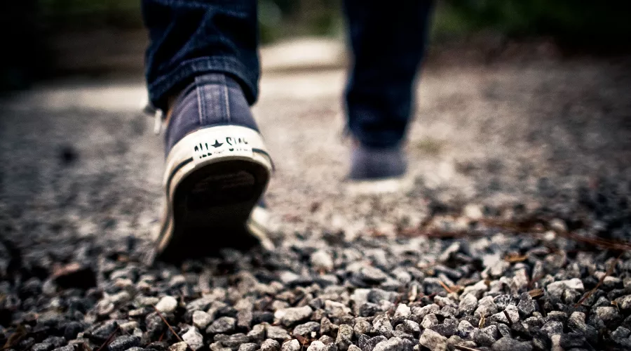  &copy;&nbsp;Фото с сайта pixabay.com