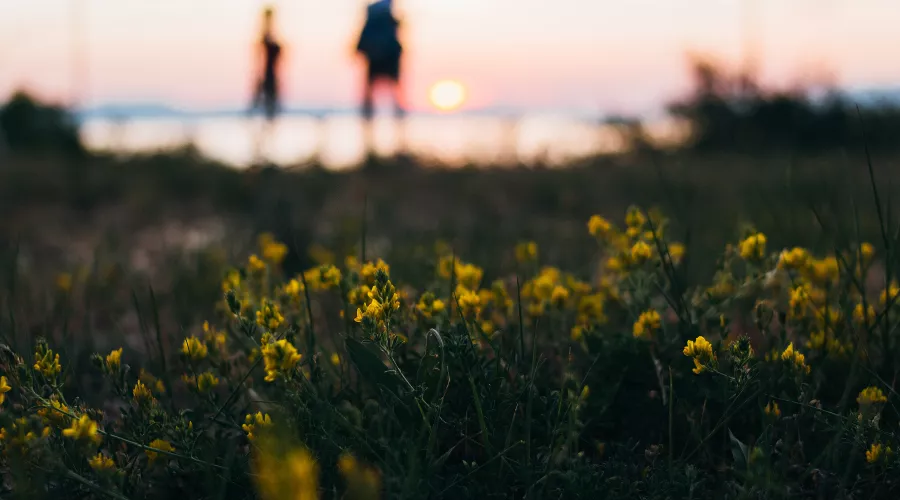 &copy;&nbsp;Фото Olia Nayda с сайта unsplash.com