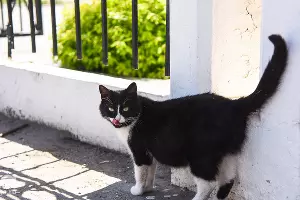  &copy;&nbsp;Фото Елены Синеок, Юга.ру