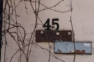  &copy;&nbsp;Фото Елены Синеок, Юга.ру